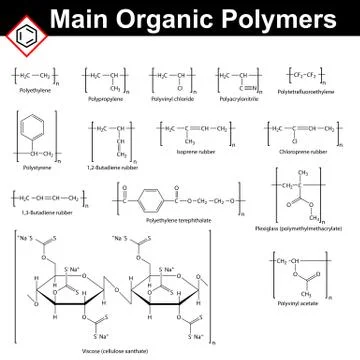 Main organic polymers Stock Illustration