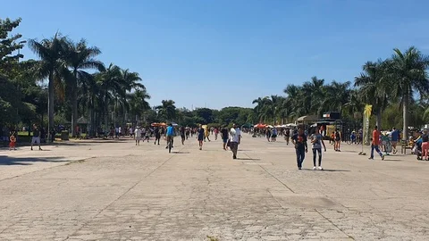 Main path way in villa lobos park in sao paulo brazil Vídeo Stock 107144835