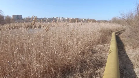 Main pipe among dry Video stock 124550050