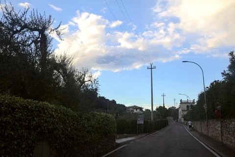 Main road bordered by olive tree plantations in late summer Stock Photos