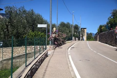 Main road bordered by olive tree plantations in late summer Stock Photos