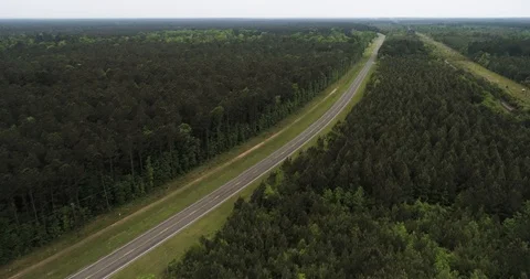 Main road cuts through dense woodland forest in Texas, USA drone aerial 4K Stock Footage 111362858