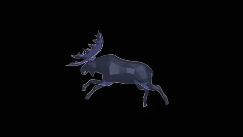 Main run-elk Stock Footage 167450553