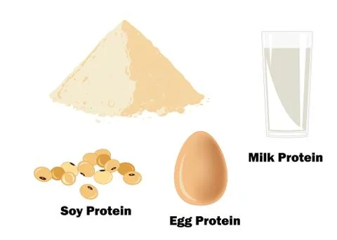 The main sources of protein for bodybuilders Stock Illustration