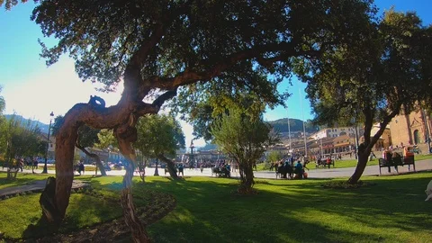 Main square – Cusco, Perú behind trees and green areas of the park Stock Footage 115102723
