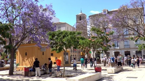 Main Square in Malaga, Spain Stock Footage 130084647