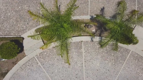 Main square in old town Stock Footage 193758453