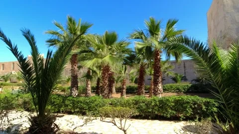 The main square with palm trees among the walls of theand now a museum, Sousse, Stock Footage 257327286