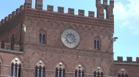 Main square in Piazza del Campo in Siena, 50fps ,real time Stock Footage 67561929