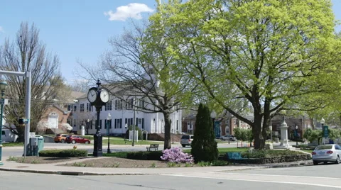 Main street and parallel road in spring bloom Stock Footage 49936963