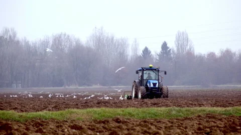 Main tillage with a tool with rotating organs that break up the soil into cubes Stock Footage 167335490