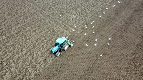 Main tillage tractor with an implement with rotating parts that break the soils Stock-Footage 167293119