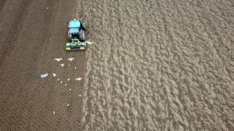 Main tillage tractor with an implement with rotating parts that break the soils Stock Footage 167293396