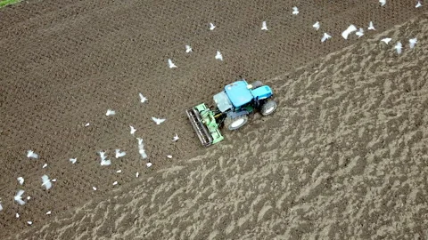 Main tillage tractor with an implement with rotating parts that break the soils Vídeos de archivo 167293617