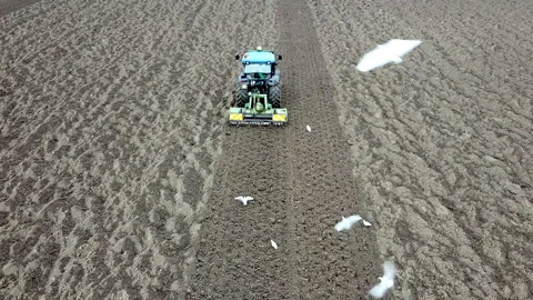 Main tillage tractor with an implement with rotating parts that break the soils Video stock 167293734