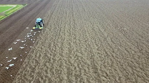 Main tillage tractor with an implement with rotating parts that break the soils Video stock 167293973