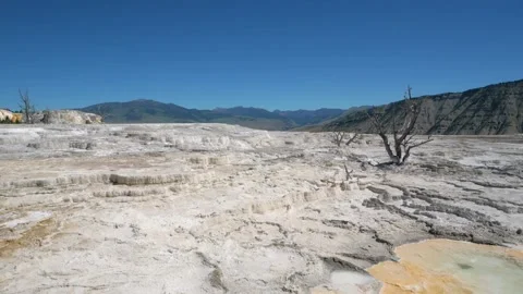 Main Travertine sinter terraces in Mammoth Hot Springs Stock Footage 269838221