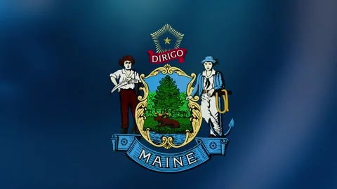 Main Waving flag up Stock Footage 303001377