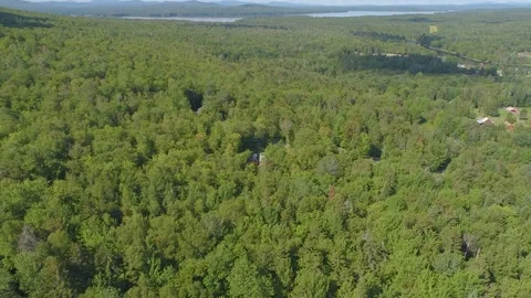 Maine 10 動画素材 141938491