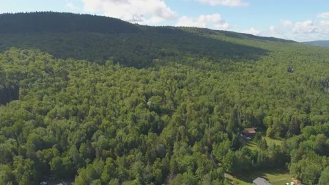 Maine 6 動画素材 141937765