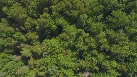 Maine 8 動画素材 141938248