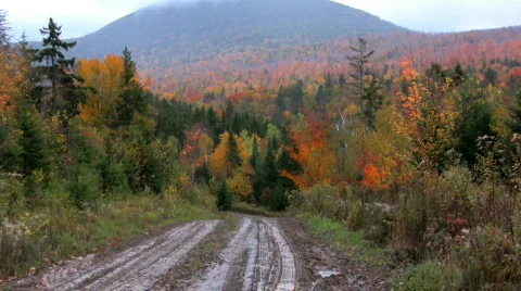 Maine back road Stock Footage 267759