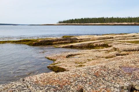 Maine Coast Stock Photos
