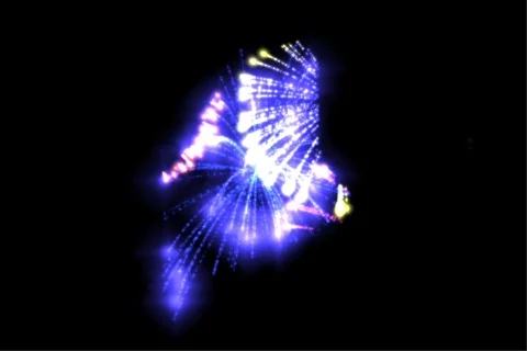 Maine Fireworks Stock Footage 719646