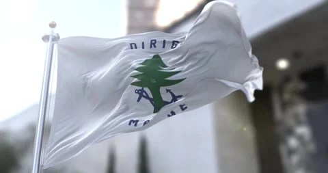 Maine flag waving-seamless-loop-4k-60fps Stock Footage 345475942