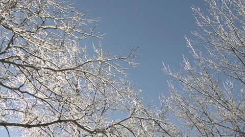Maine ice Stock Footage 34454068