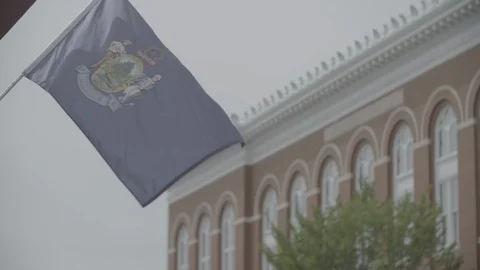Maine State Dirigo flag flutters and waves Stock Footage 114131104