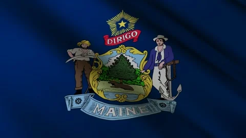 Maine State Flag Stock Footage 276105035