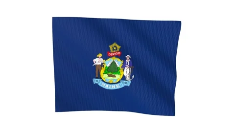 Maine state flag waving in the wind 스톡 동영상 343901650