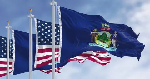 Maine state flags and the American flag waving in the wind on a clear day Stock Footage 329675357