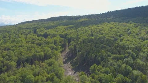 Maine state 動画素材 141938175