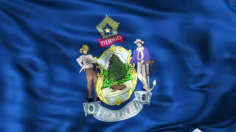 Maine State Waving Flag Background 스톡 동영상 204138673