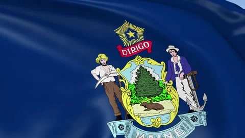 Maine State Waving Flag Background Loop Stock Footage 317846523