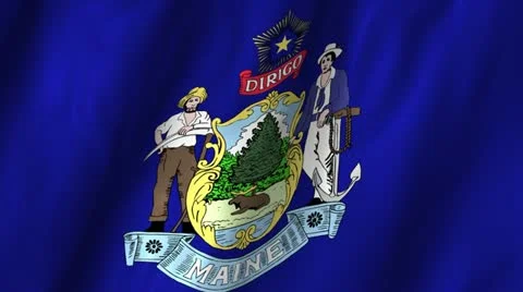 Maine Waving Flag Stock Footage 12304288