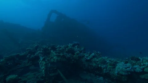Mainmast of the shipwreck Carnatic underwater, Red Sea, Egypt Stock Footage 88345929