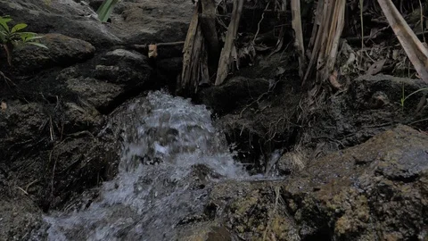 Mainstream of waterfall in slowmotion Stock Footage 99273931