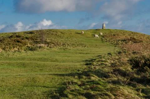 Maintained pathways leading to the trig point on Halkyn Mountain Stock Photos