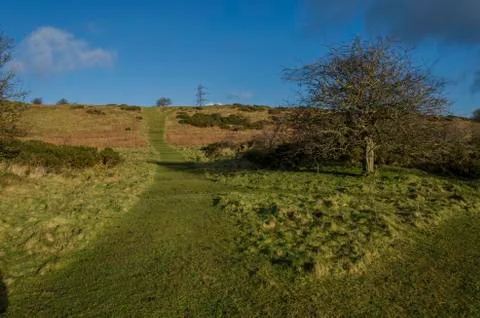 Maintained pathways leading to the trig point on Halkyn Mountain Stock Photos