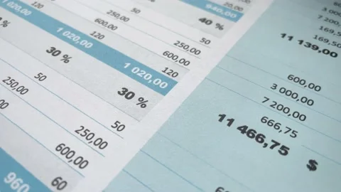 Maintaining a budget, accounting in a table on a computer or paper document Stock Footage 223380577