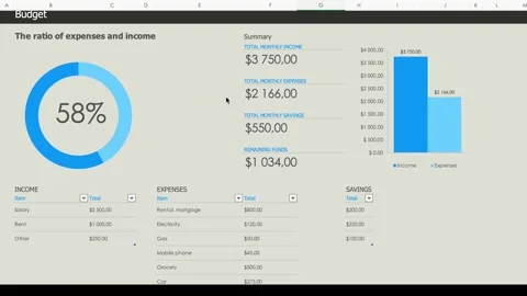 Maintaining a budget, accounting in a table on a computer. Graphs, numbers Stock Footage 240368214