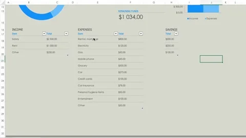 Maintaining a budget, accounting in a table on a computer. Graphs, numbers Stock Footage 240368745