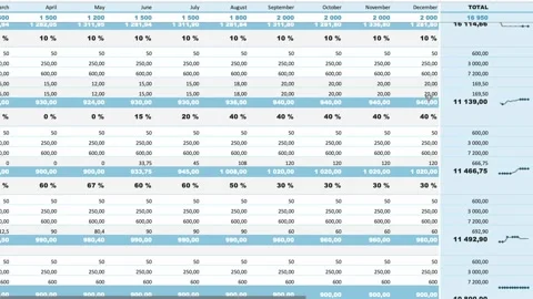 Maintaining a budget, accounting in a table Stock Footage 222882307