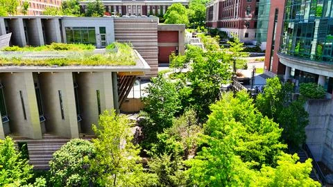 Maintaining a Focus - SUNY ESF - Syracuse, NY Foto stock