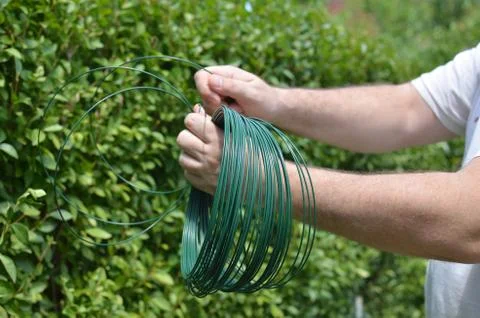 Maintaining a garden hedge Stock Photos
