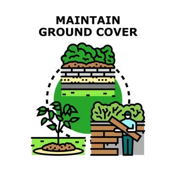Maintaining ground cover for ecological soil conservation Stock Illustration