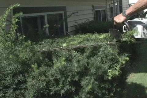  Maintenance 3 Video stock 154534